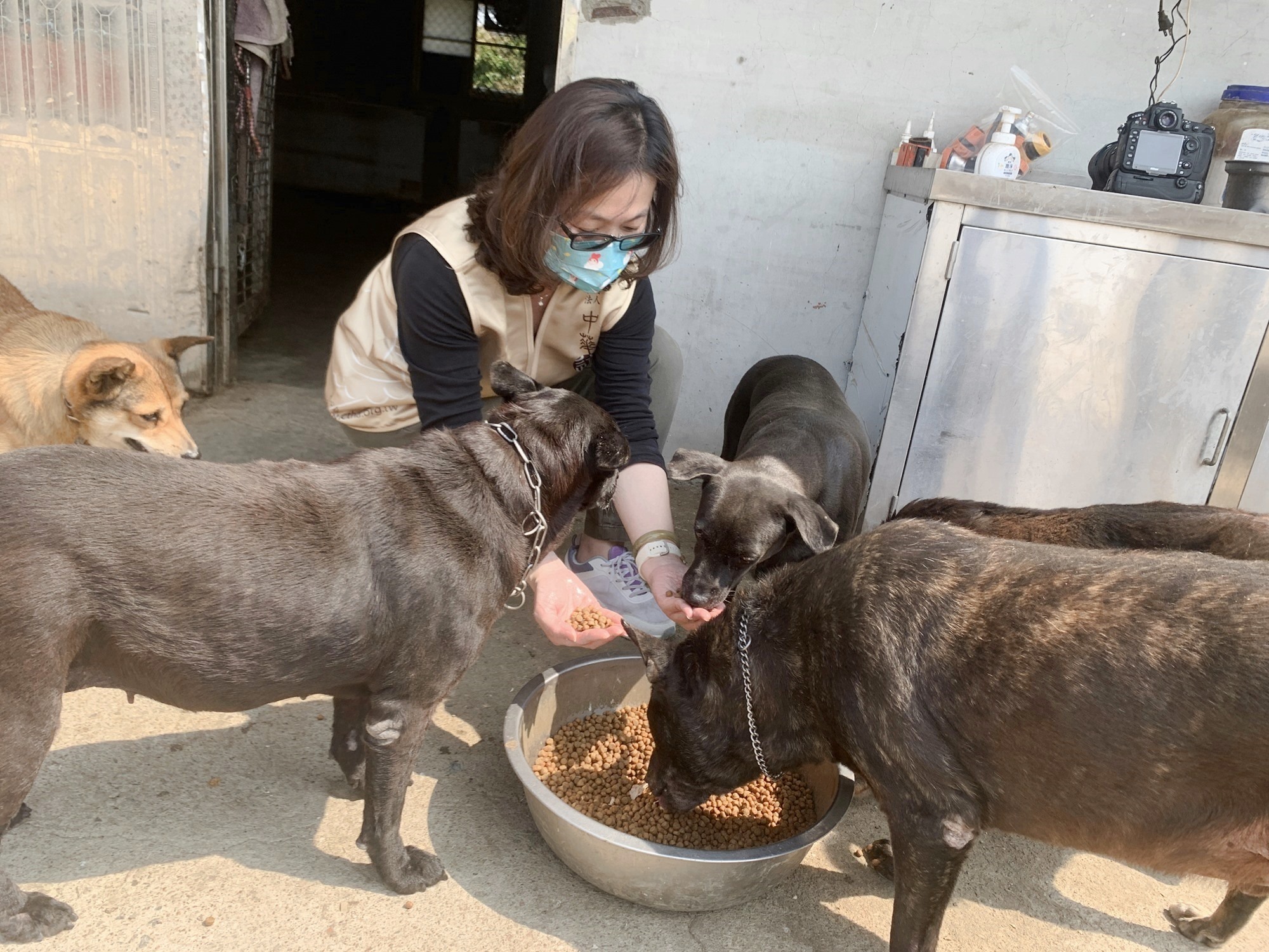 「浪愛飽食．助糧送暖」   台南市馬媽媽狗園飼料捐贈活動
